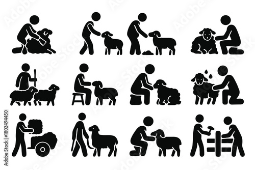Sheep Farming Icons. Solid style icons of Sheep farming activities: shearing, feeding, lambing, herding, milking, washing,