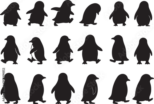 Group of Penguin Silhouettes in Various Actions bird