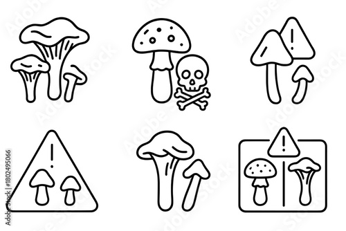 Mushroom Identification Icons. Line style icons of Poisonous Look-Alikes: false chanterelle vs real, toxic vs edible comparison,