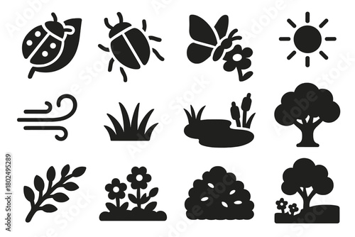 Garden Life Icons. Solid style icons of Outdoor garden life: ladybug on leaf, crawling beetle, butterfly on flower, sunlight,