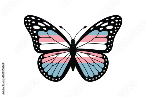 A butterfly with wings colored in the transgender pride flag design.
