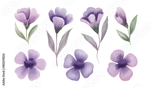 Lavender and violet lilac  wildflowers painted in soft watercolor shades.