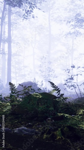 Wallpaper Mural Early morning light filters through tall trees in a misty forest. Lush green ferns cover the ground, while soft fog creates a serene atmosphere, inviting exploration and tranquility. Torontodigital.ca