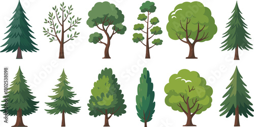 Tree illustration set with diverse foliage styles, coniferous and broadleaf types, botanical design elements, nature concept graphics