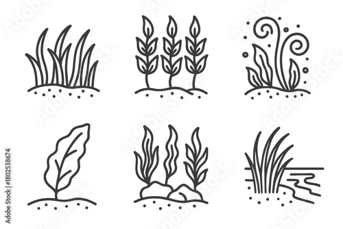 Marine Biology Icons. Line style icons of marine biology: seagrass bed, kelp forest, algae bloom, macroalgae leaf, marine