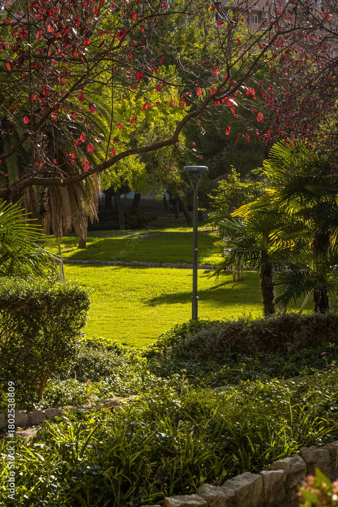 Fototapeta premium Autumn in the park