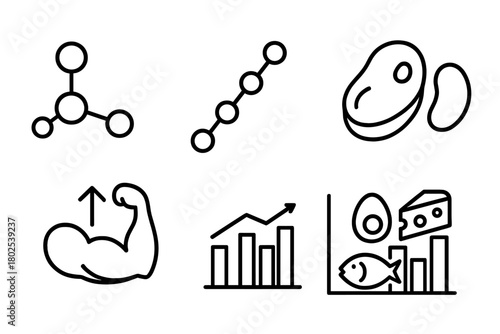 Nutrition Science Icons. Line style icons of nutrition science: proteins, amino acid chain icon, meat and legumes symbol, muscle