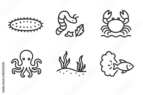 Marine Biology Icons. Line style icons of marine biology: sea cucumber, detritus feeder, ocean bottom scavenger, soft body marine