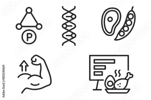 Nutrition Science Icons. Line style icons of nutrition science: proteins, amino acid chain icon, meat and legumes symbol, muscle
