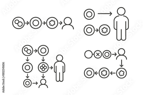 Cloning Process Icons. Line style icons of cloning technology: cloning timeline, cell-to-clone stages, zygote to organism,