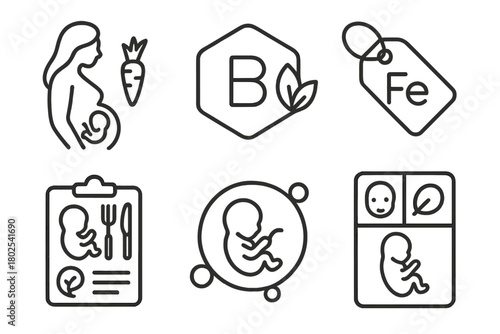 Prenatal Nutrition Icons. Line style icons of nutrition science: prenatal and pregnancy nutrition, folic acid icon, iron