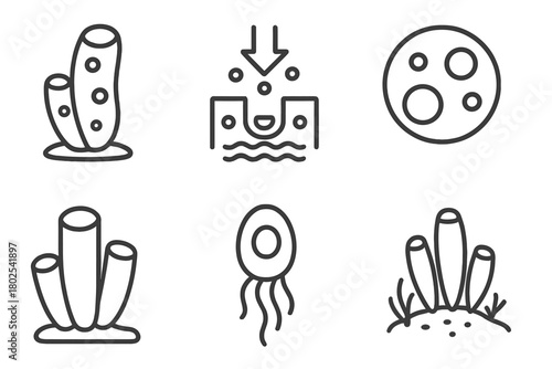 Marine Biology Icons. Line style icons of marine biology: sea sponge, filter feeding, pore system, marine porifera, sponge cell