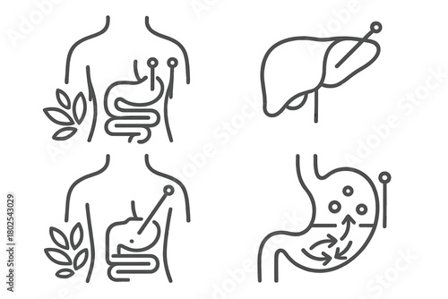 Acupuncture Detox Icons. Line style icons of acupuncture: digestive detox protocols, liver point icon, acupuncture for cleansing,