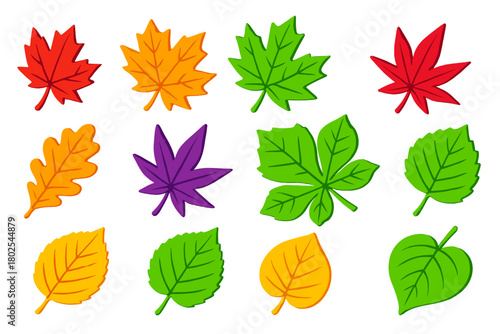 Colorful Maple Leaves. Isometric vector illustration set Tropical and Decorative Leaves: red maple leaf, sugar maple leaf, silver