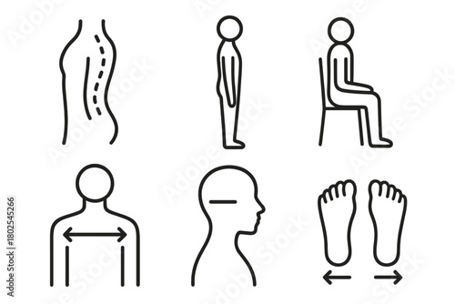 Posture and Alignment Icons. Line style icons of posture and alignment: spine curve, standing straight, sitting upright, shoulder