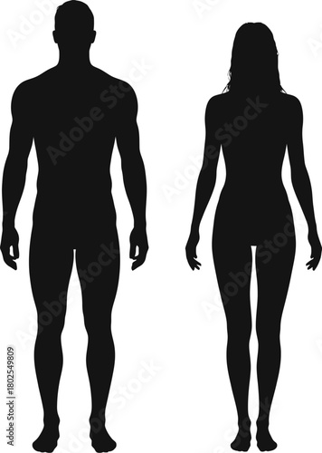 Black Silhouette Of Full-Length Male And Female Figures Standing Upright Against A Pure White Background, Ideal For Medical, Anatomy, Fitness, Or Human Form Concepts