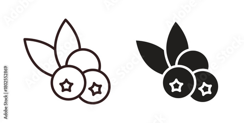Blueberry icon concept. Glyph vector illustration isolated. Simple solid style.