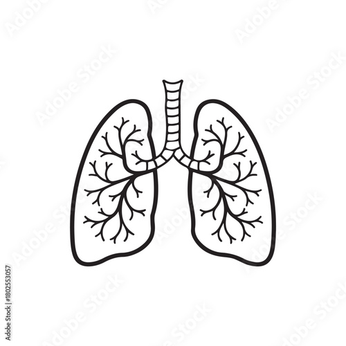 Human Lungs Silhouette Icon for Medical and Healthcare Designs