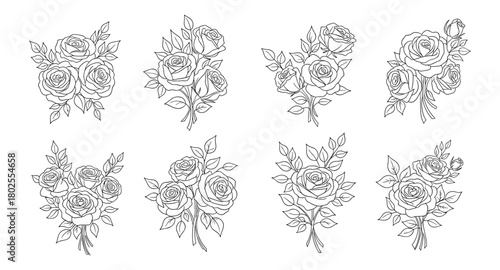 Elegant collection of rose bouquets in linear style for decorative floral designs
