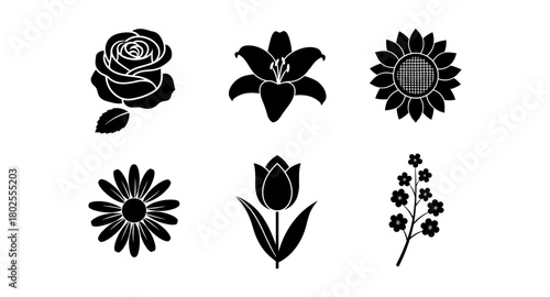 Diverse floral silhouettes collection: roses, lilies, sunflowers, and more