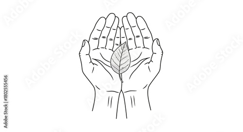Hands cradling a leaf: simple linear drawing symbolizing care and nature