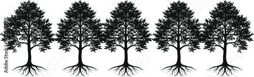 Row of five silhouette trees with visible roots, nature illustration symbolizing growth, unity, ecology, forest elements in black and white artwork