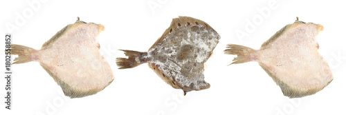 Frozen flatfish pieces isolated on white background.