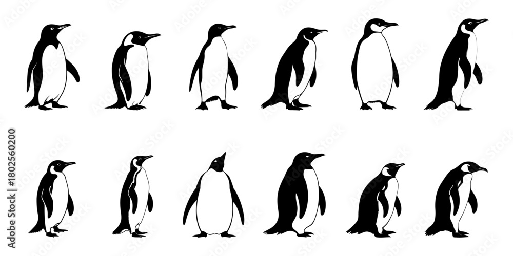Naklejka premium Penguin character variants side profile vector set for animated projects wildlife campaigns and eco-friendly branding