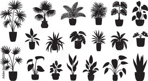 Set of black plant silhouettes in pots for interior decoration