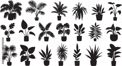 Silhouettes of Diverse Potted Plants Creating a Modern Interior Decoration