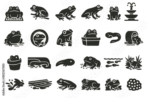 Stylized black-and-white frog lifecycle and habitat illustrations