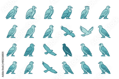 Stylized falcon and hawk illustrations on teal gradient background