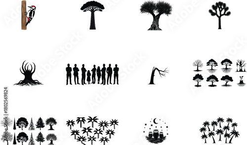 Woodpecker tree silhouettes people owls palms bird