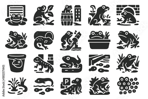 Urban and scientific frog lifecycle illustrations in black and white