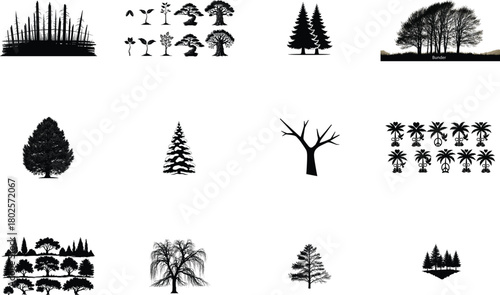 Diverse tree silhouettes and growth stages trees nature