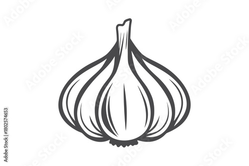Isolated garlic bulb displays its papery layers with simple line work on white