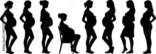 Silhouette illustrations of pregnant women showing stages of pregnancy in vector