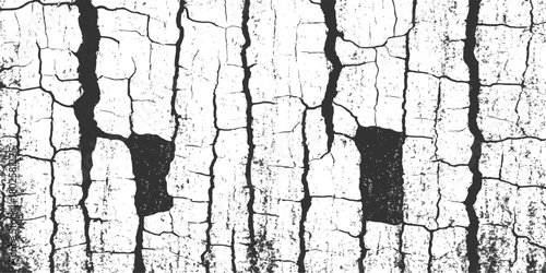 Weathered and dirty tree bark texture shows a rough, cracked surface with a natural wood pattern for an aged background design