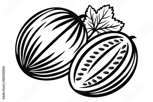 showcases two melons with one sliced and a leafy garnish in monochrome