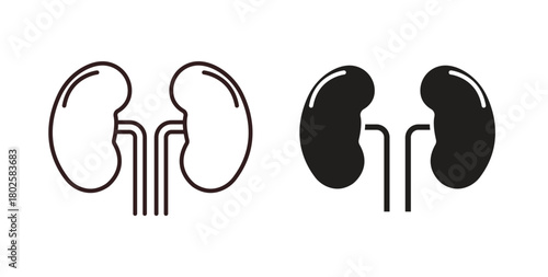 Kidney icon concept. Glyph vector illustration isolated. Simple solid style.
