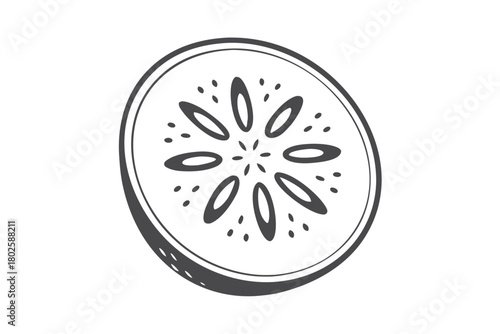 Single half slice of kiwi with seeds has circular monochrome line art