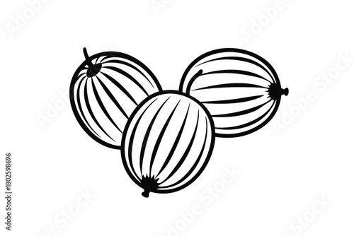 Two gooseberries show distinct interior structure and external texture in detailed grayscale