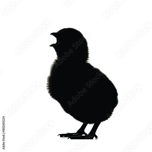 Chirping baby chick silhouette