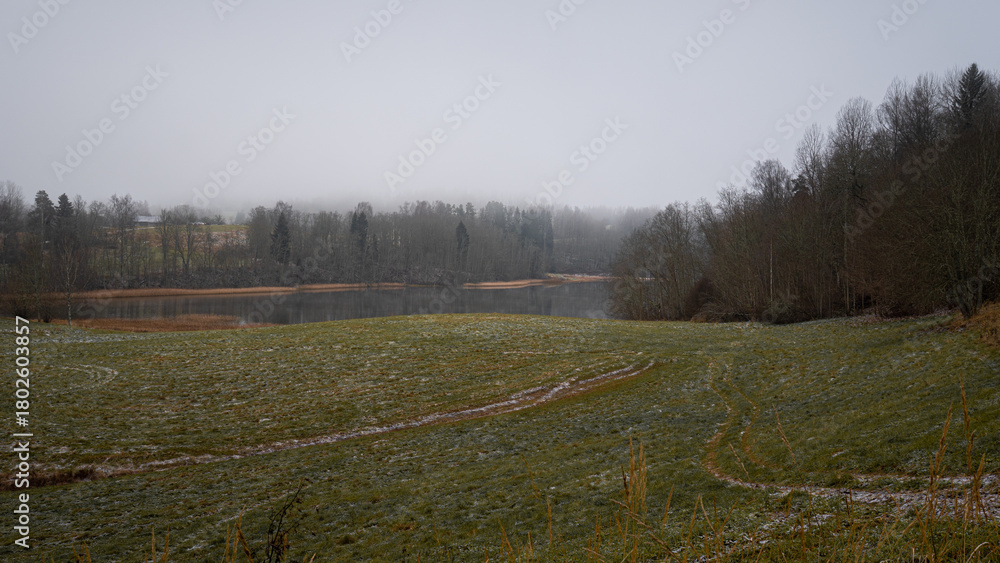 Naklejka premium Foggy Winter Landscape with Frosted Meadow, Forest Edge, and Quiet Lakeside View