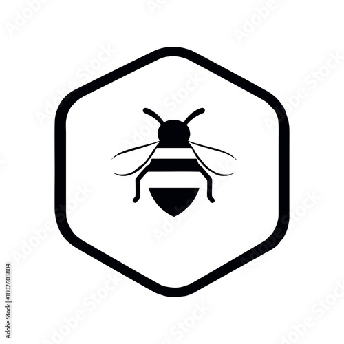 black and white shield bug