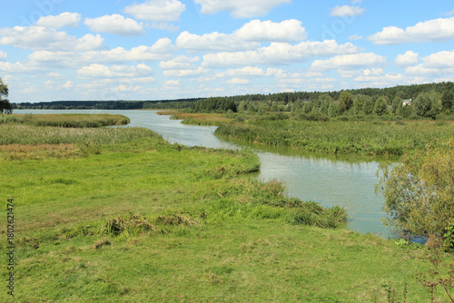 Fototapeta Naklejka Na Ścianę i Meble -  view of a picturesque summer meadow with a river