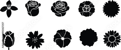 Various flower silhouettes vector set with detailed petal shapes and natural designs for creative floral projects and decoration 