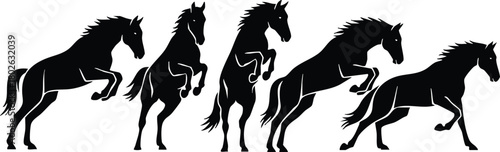 Silhouettes of galloping and rearing horses in dynamic poses black vector illustration 
