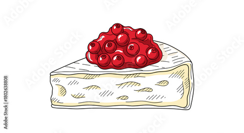 Baked brie slice with red cranberry sauce bright outlined drawing, appetizing mood, crisp contrast food illustration, with copy space