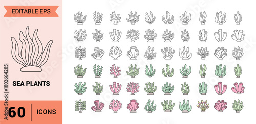 Collection of colorful and simple hand drawn sea plant icons and illustrations for underwater design
